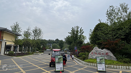 羊山森林植物园第 4 张图片