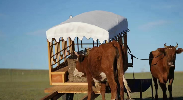 希拉穆仁草原牧家乐马场