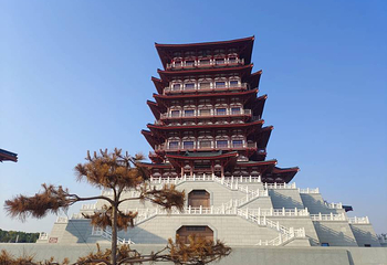 牡丹博物馆第 15 张图片