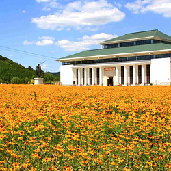 张学良文化园