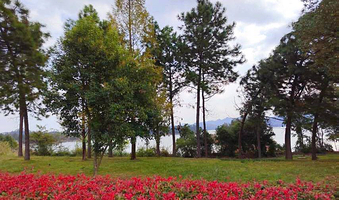 千岛湖西南湖区