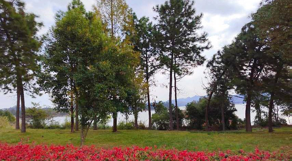 千岛湖西南湖区