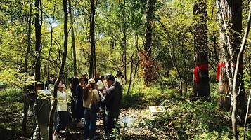 长白山哇酷露营地
