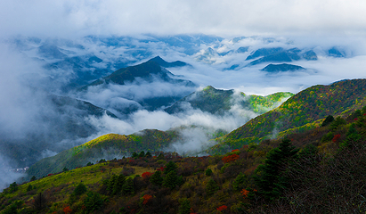 神农顶风景区第 46 张图片