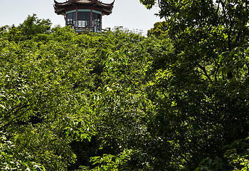 泊山洞第 23 张图片