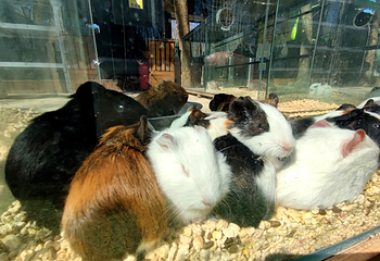 爱伴family乐园(奥森店)第 27 张图片