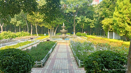 济南花圃公园第 1 张图片