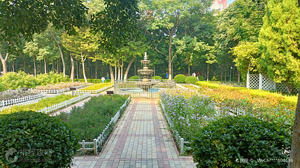 济南花圃公园第 4 张图片