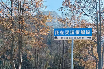 丹霞灵溪森林度假景区第 28 张图片