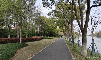 张家浜休闲绿道