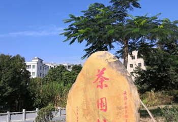 茶园村第 1 张图片
