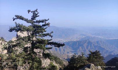 伏牛山主峰第 2 张图片