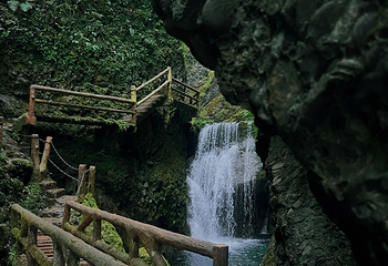 青城后山第 41 张图片