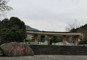 天目山自然保护区第 102 张图片