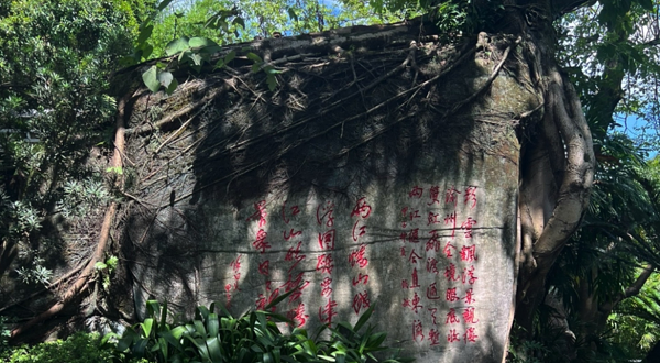 鹅岭公园-文化艺术长廊