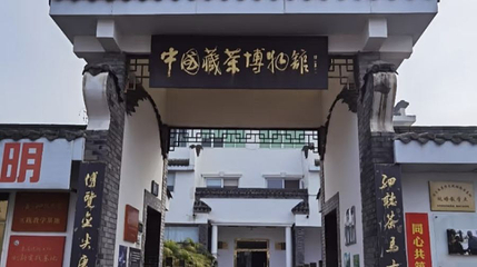 中国藏茶博物馆第 1 张图片