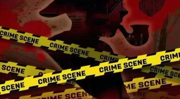 郑州 · 侦探推理沉浸式儿童剧《小小福尔摩斯》二次元经典-开心互动益智|家庭合家欢