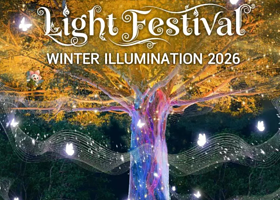 纳萨塔灯光节：冬季灯光秀