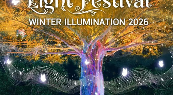 纳萨塔灯光节：冬季灯光秀
