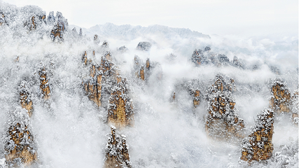 天子山风景区第 59 张图片
