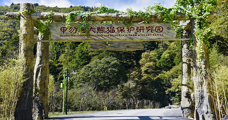 甲勿海·熊猫园景区第 5 张图片