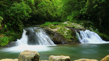 黄桑国家级自然保护区