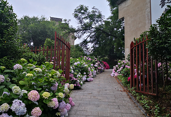 花乡茶谷旅游景区第 73 张图片