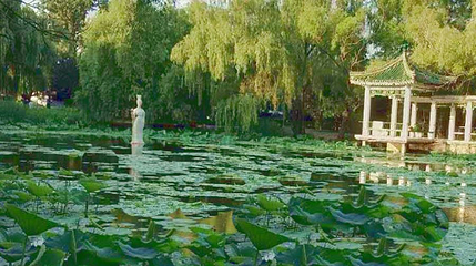 桃花湖第 1 张图片