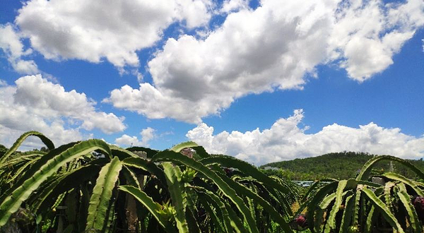 农家乐龙岗团建野炊生态园