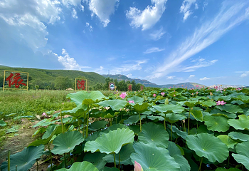 依湾农家风景区第 2 张图片