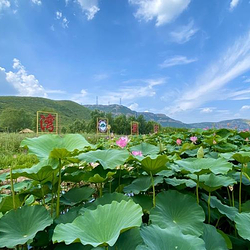 依湾农家风景区