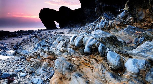 金石滩生态游-喂海鸥钓鱼