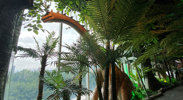 恐龙探索乐园(棕榈MALL店)