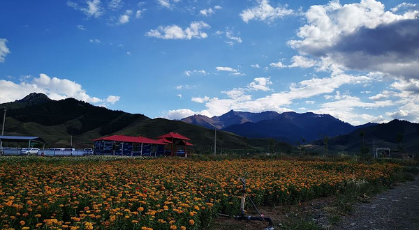 百花谷