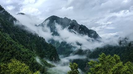 杜鹃山第 1 张图片