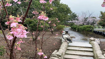 地心部落第 32 张图片