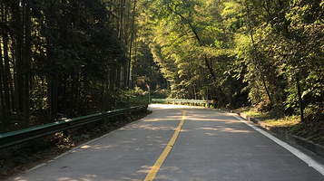 中央森林公园(长安南路)