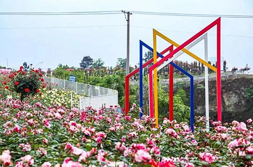 贡之源·花仙谷第 23 张图片