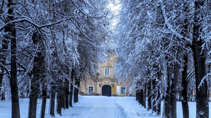 Schloss Liechtenstein第 1 张图片