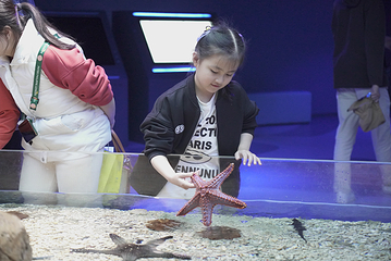 海南海洋欢乐世界度假区第 106 张图片