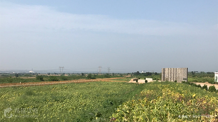 陶寺遗址第 3 张图片