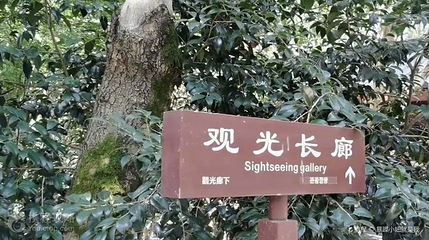 蔡锷墓-观光长廊第 2 张图片