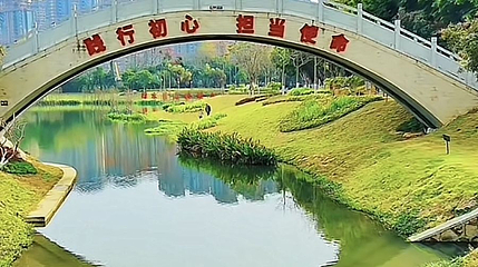 黄陂湖湿地第 1 张图片