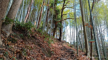 茶辽古道第 1 张图片