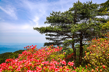 九宫山景区第 21 张图片