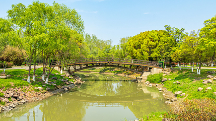 七桥瓮生态湿地公园第 3 张图片