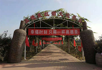 奥德曼葡萄酒庄园第 26 张图片