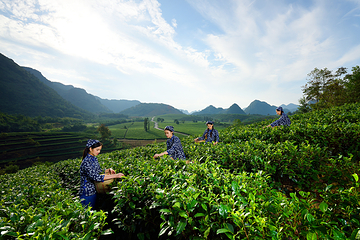 积庆里红茶谷第 24 张图片