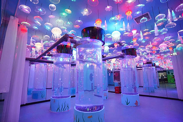 海昌海洋探索馆第 5 张图片
