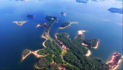 南丽湖醉花岛湿地文化旅游区第 8 张图片